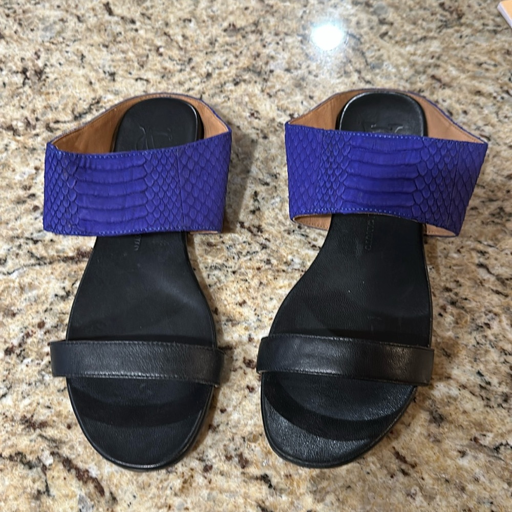 Vince Camuto slides with Colbalt blue Suede strap